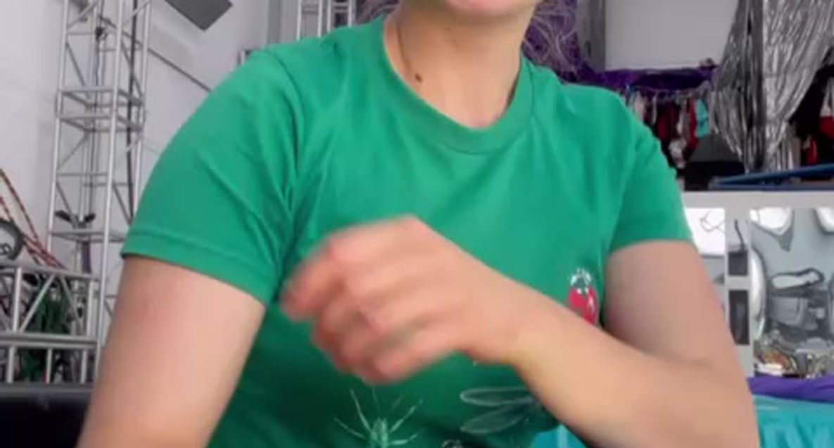 Meet Agneska